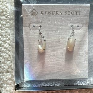 🆕 Lemmi Drop Earrings in Rhodium